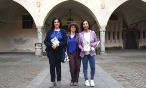 Anfass cerca volontari