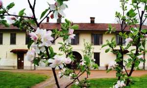 Borgomanero Fondazione Marazza primavera