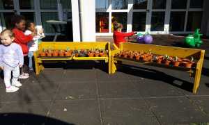 Borgomanero giovani e ambiente