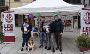 Leo Club