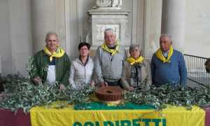 Novara Coldiretti Ulivo