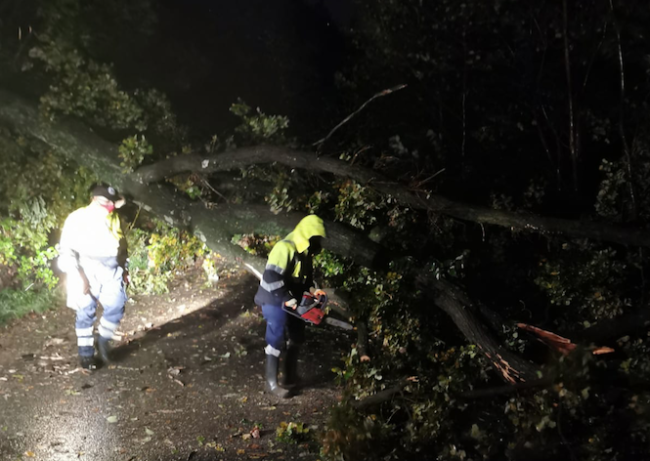 Schermata 2020 10 03 alle 15.27.57