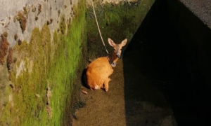 Schermata 2021 07 31 alle 18.50.52