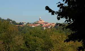 Soriso comune