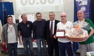 Subbuteo 2019