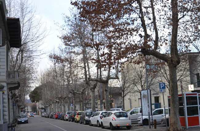 Viale don Minzoni