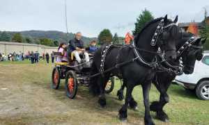 WhatsApp Image 2024 10 15 at 10.02.00