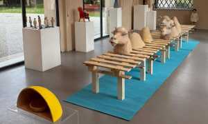 WhatsApp Image 2025 04 23 at 14.03.39