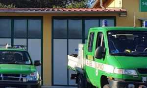 aib suno mezzi