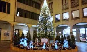 albero natale2017 borgo