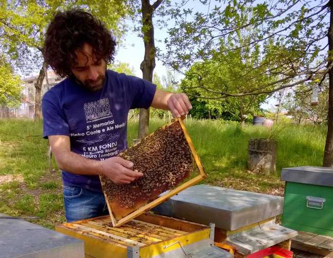 apicoltore 1