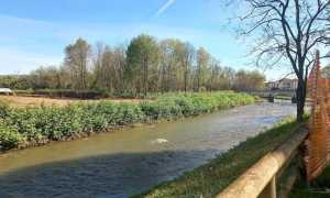 area ponte borgo