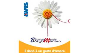 avis borgo