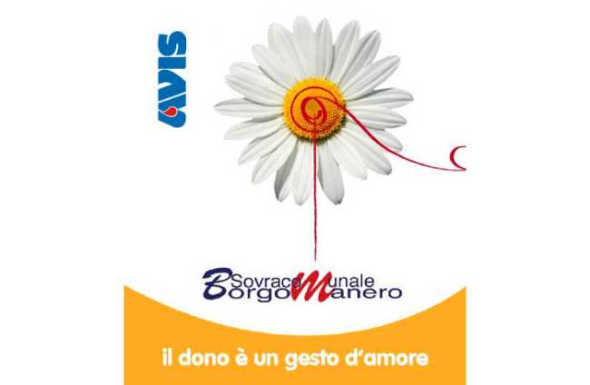 avis borgo