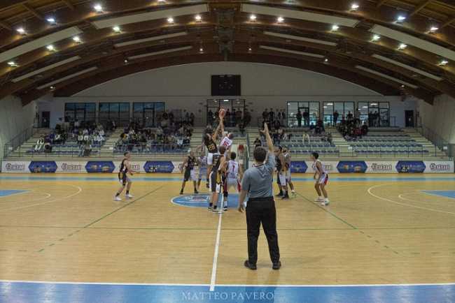 basket barberi b