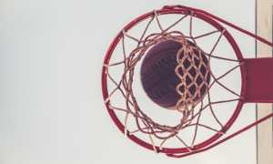 basket