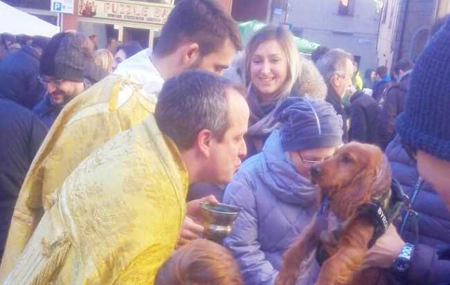 benedizione animali castelletto 17