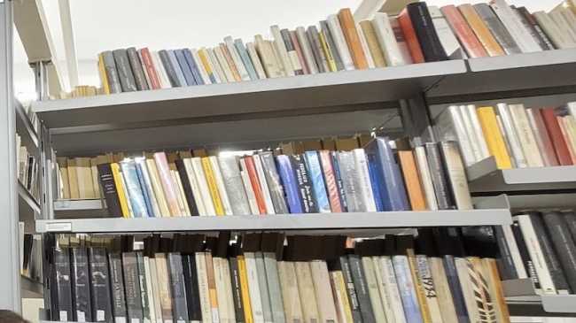 biblioteca romagnano sesia