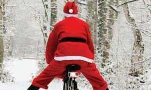 bici babbo