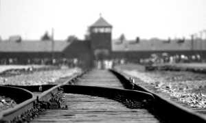 birkenau 402324 640