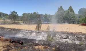 bogogno zona incendio