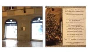 borgo albero spostato