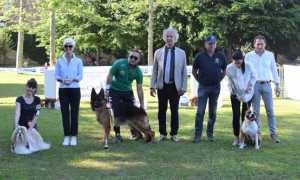 borgo esposizione canina