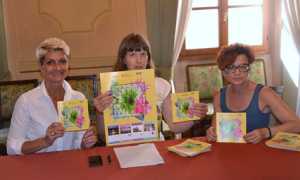 borgo summer