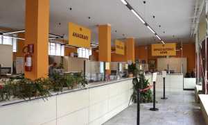 borgomanero anagrafe