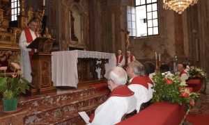 borgomanero patronale