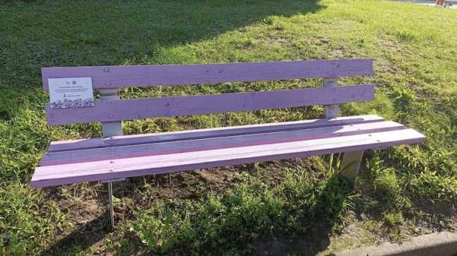 briga panchina viola