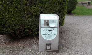 cani borgo