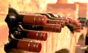 cantina vino