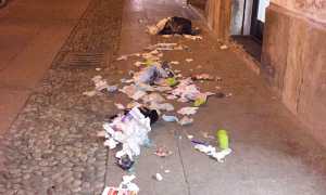 cassonetto immondizia cesatino vandali