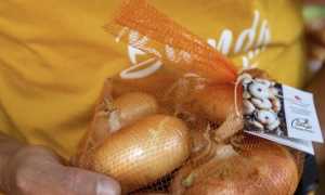 cipolla bionda presidio slow food 2