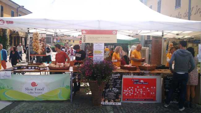 cipolla fontaneto 01