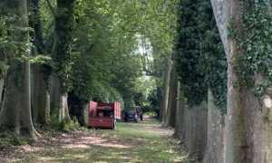 conturbia alberi castello