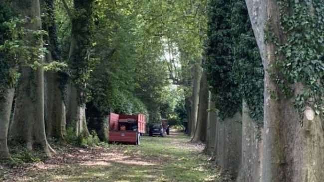 conturbia alberi castello