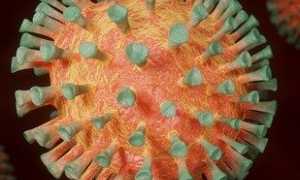 coronavirus immagine libera