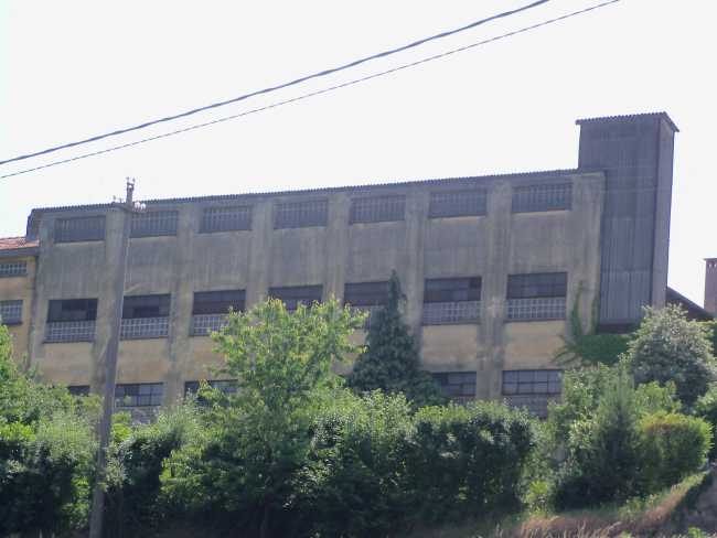 dansilar gattico