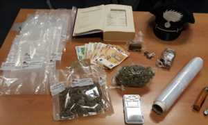 droga gattico veruno