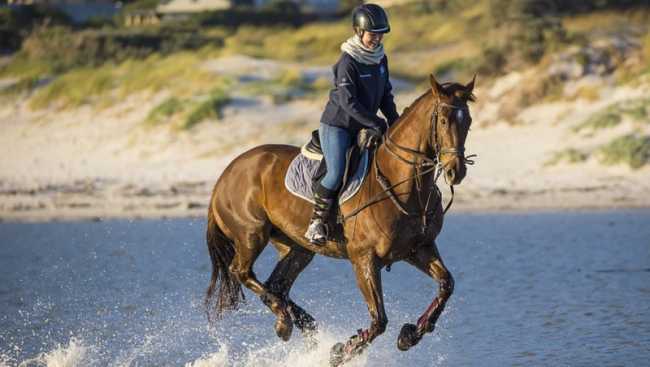 equitazione