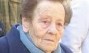 ercolina gibin