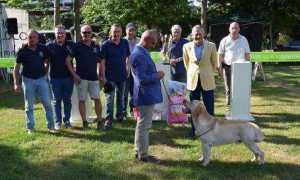 expo canina
