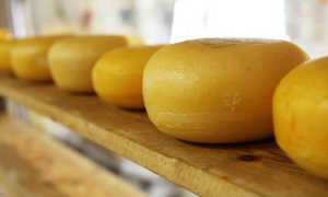 formaggio