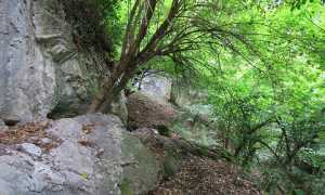 foto monte fenera
