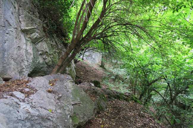 foto monte fenera
