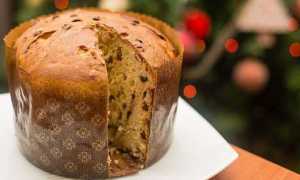 foto panettone