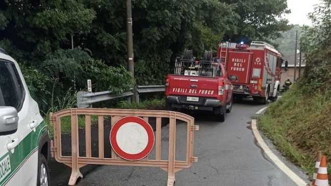 frana colombaro foto