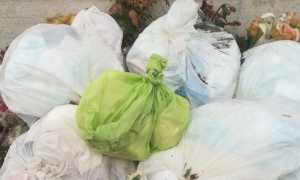 gargallo sacchi abbandonati